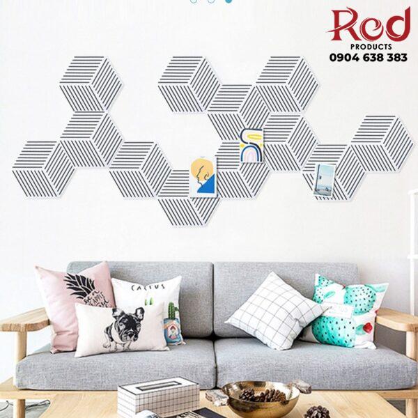 Bang-ghim-tieu-am-hinh-luc-giac-soc-ca-tinh-AS8744-7-600x600-1