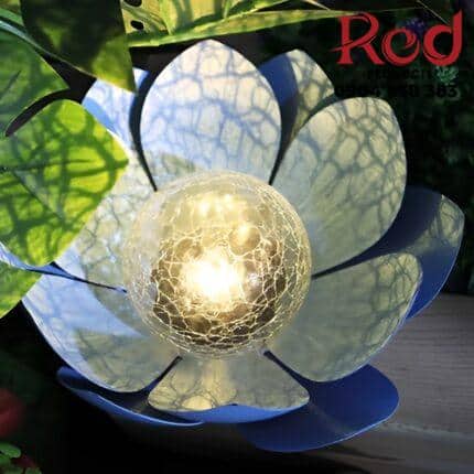 Den-hoa-sen-thuy-tinh-nang-luong-mat-troi-QM6798-5-430x430-1