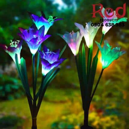 Den-tieu-canh-hoa-lily-nang-luong-mat-troi-RH1203-12-430x430-1