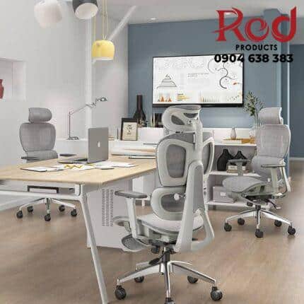 Ghe-cong-thai-hoc-Ergonomic-lung-luoi-ZA569-8-430x430-1