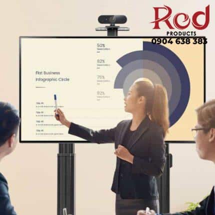 Gia-treo-tivi-nang-ha-tu-dong-North-Bayou-TW100-4-430x430-1