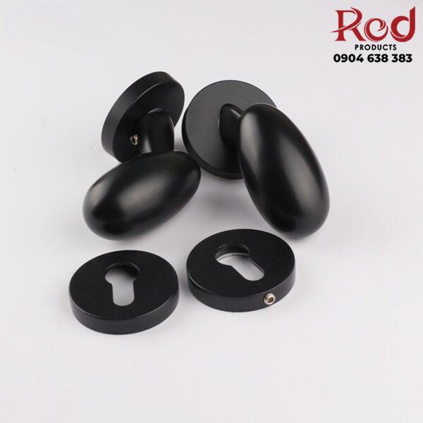 Khoa-cua-bang-dong-hinh-qua-trung-OVLI-8647-8-600x600-1