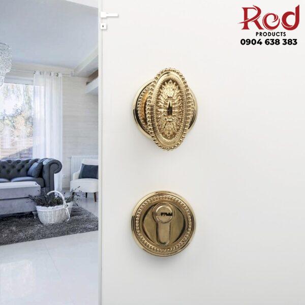 Khoa-cua-bang-dong-phong-cach-Chau-Au-OLVI8803-10-600x600-1