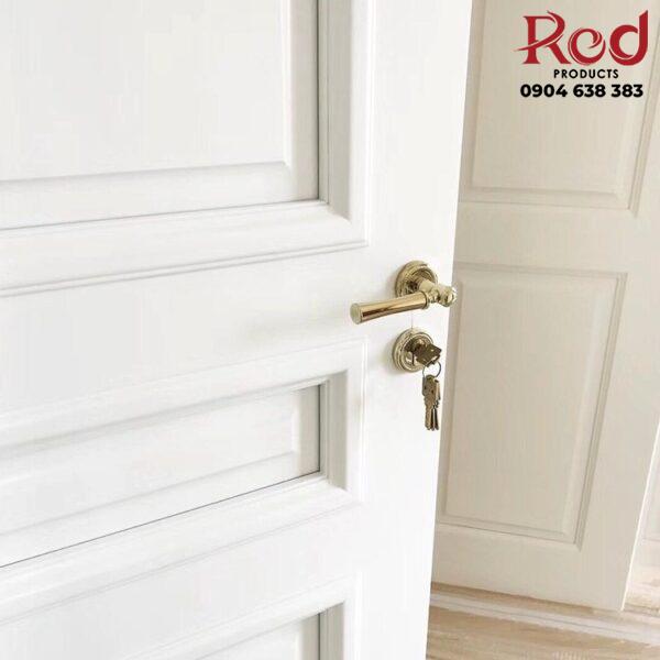 Khoa-cua-phong-cao-cap-phong-cach-Chau-Au-OVLI010-1-7-600x600-1