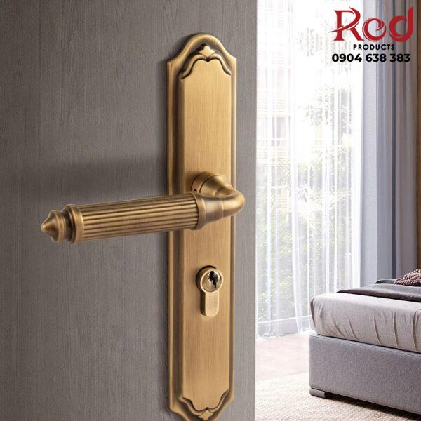 Khoa-cua-phong-hien-dai-bang-dong-kieu-Phap-BR20195-A-4-600x600-1