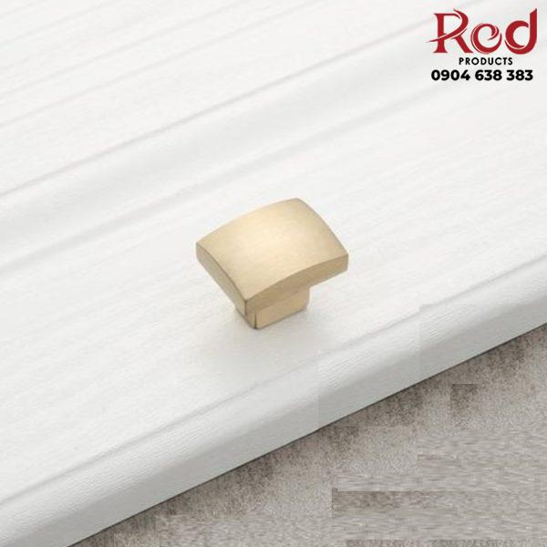 Tay-nam-tu-bang-dong-vuC3B4ng-cE1BAA1nh-mC3A0u-vang-20-1