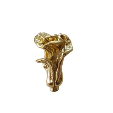 Tay nắm tủ đồng thau cải thảo xoè lá SBD6326