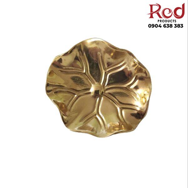 Tay-nam-tu-dong-thau-la-sen-tinh-te-SBD8016-9-600x600-1