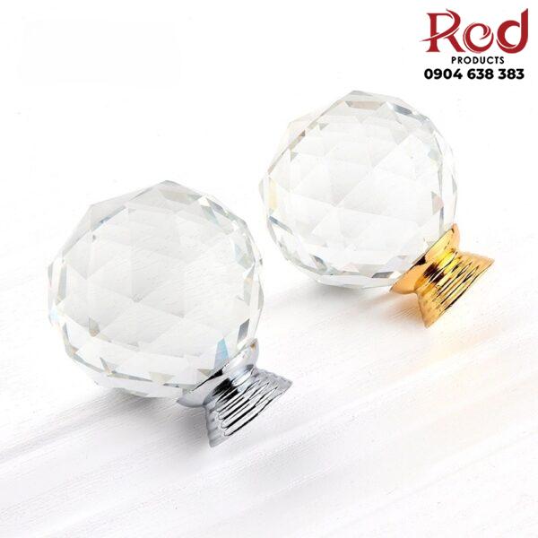 Tay-nam-tu-kinh-qua-cau-pha-le-trong-suot-YH2006-6-600x600-1