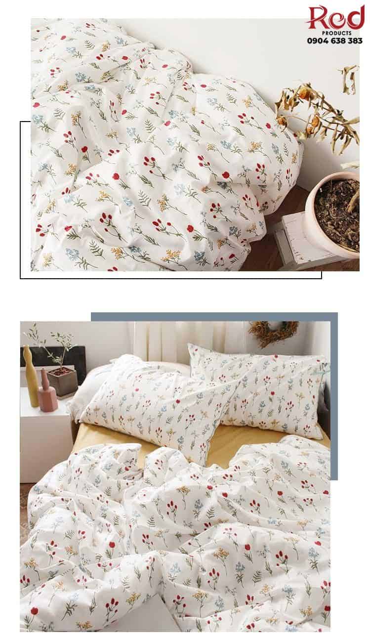 Bộ chăn ga vỏ gối cotton họa tiết hoa đỏ MM1550B 6