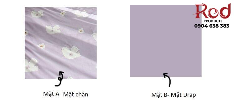 Bộ chăn ga vỏ gối màu tím pastel tươi mới MM5167 9