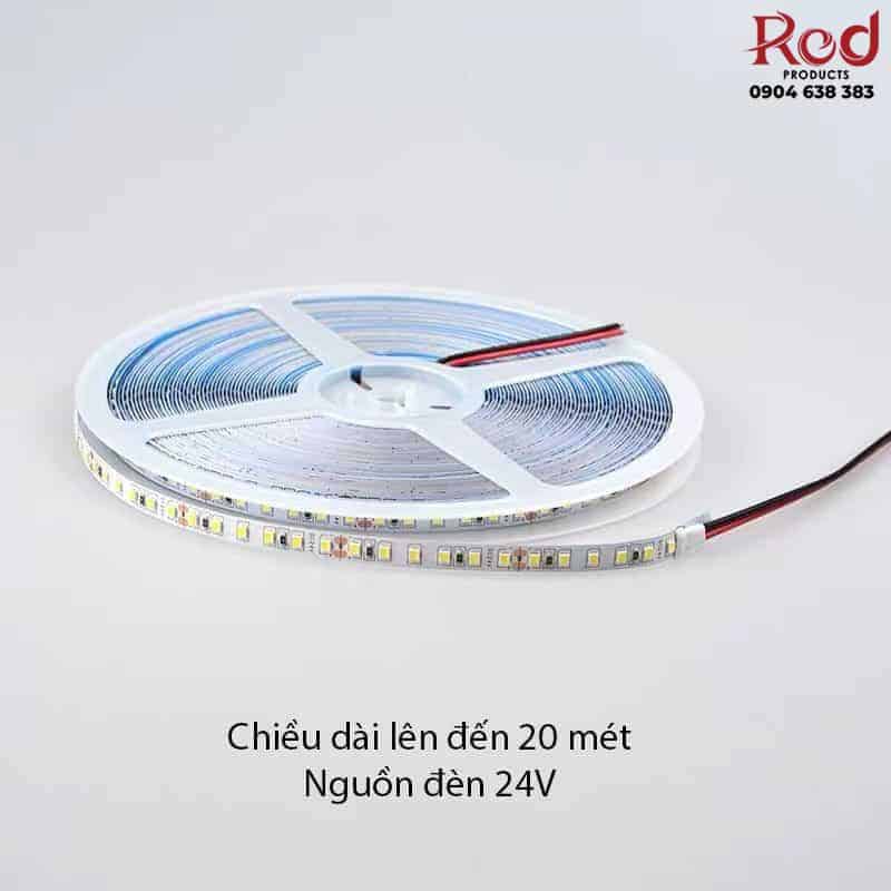 Dây đèn led 24V siêu sáng trang trí nội thất YR1011 13