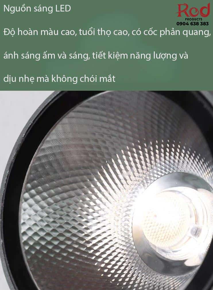 Đèn led chiếu sáng cảnh quan sân vườn C2218 13