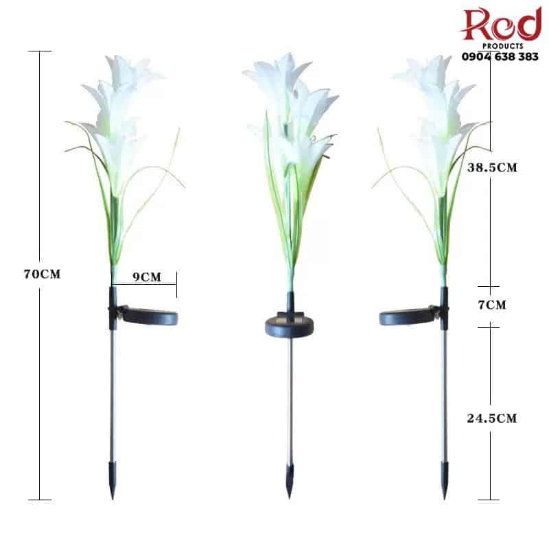 Đèn tiểu cảnh hoa lily năng lượng mặt trời RH1203 14