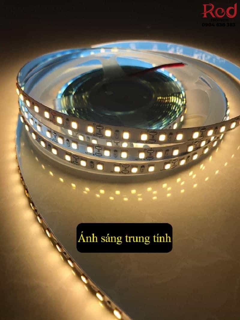 Dây led 2835 24V độ sáng cao IOU-001A