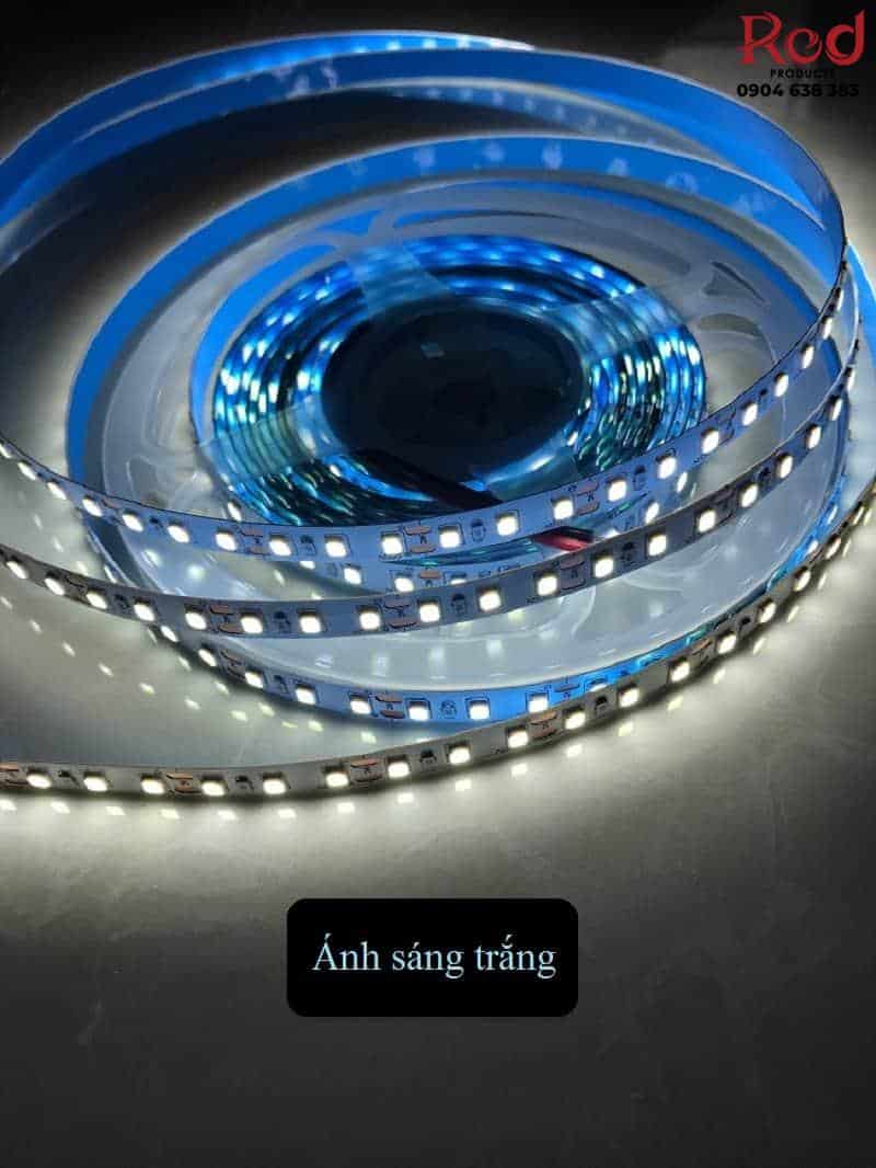 Dây led 2835 24V độ sáng cao IOU-001A