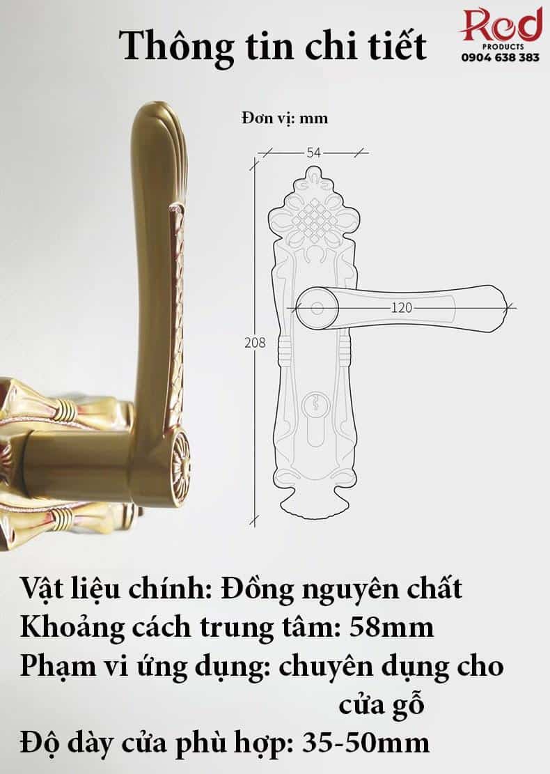 Khóa cửa họa tiết nút thắt nghệ thuật DG6895 17