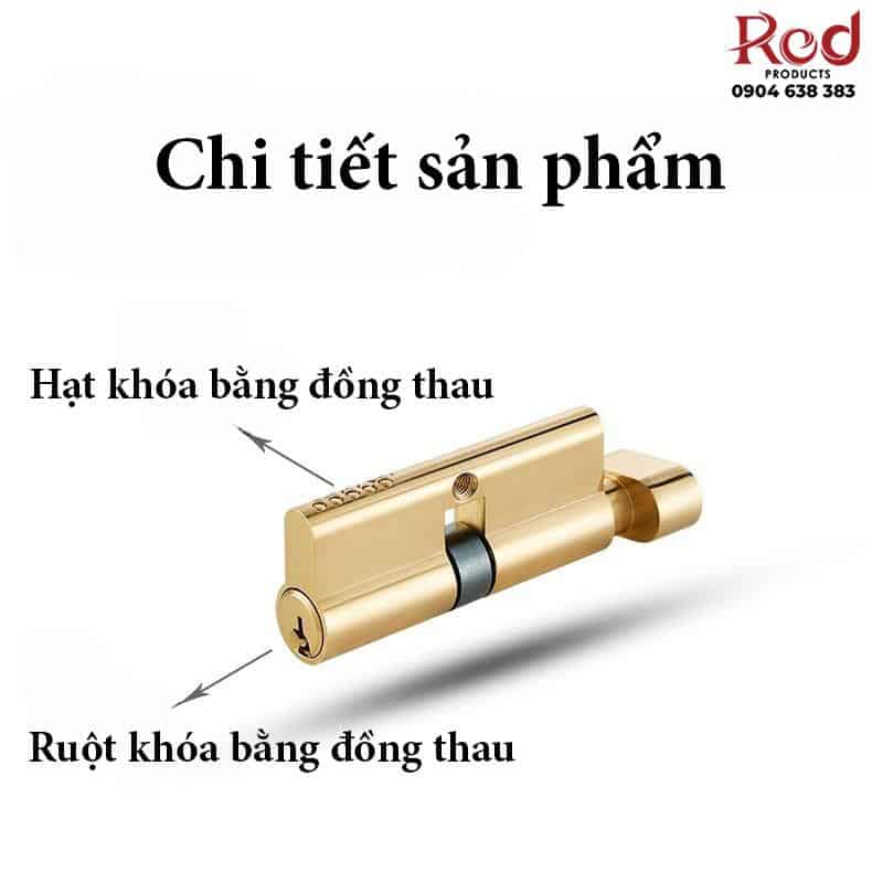 Khóa cửa tay gạt uốn lượn mạ vàng RG962 19