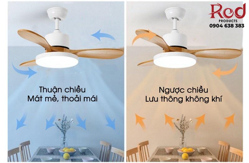 Quạt đèn thả trần cho phòng nhỏ nhiều màu sắc FA2735 10