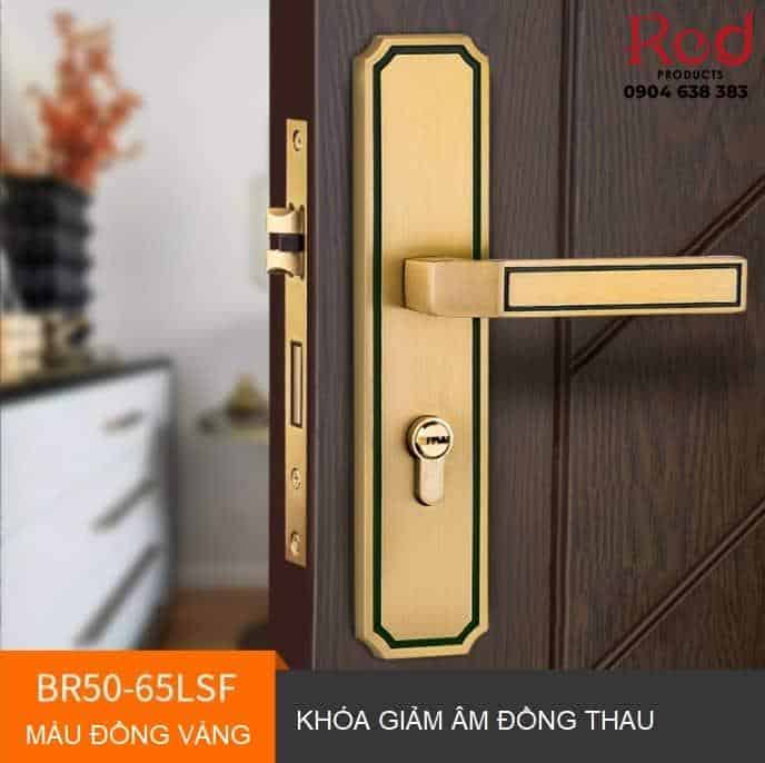 Khóa cửa phòng cổ điển bằng đồng thau BR50-65 20