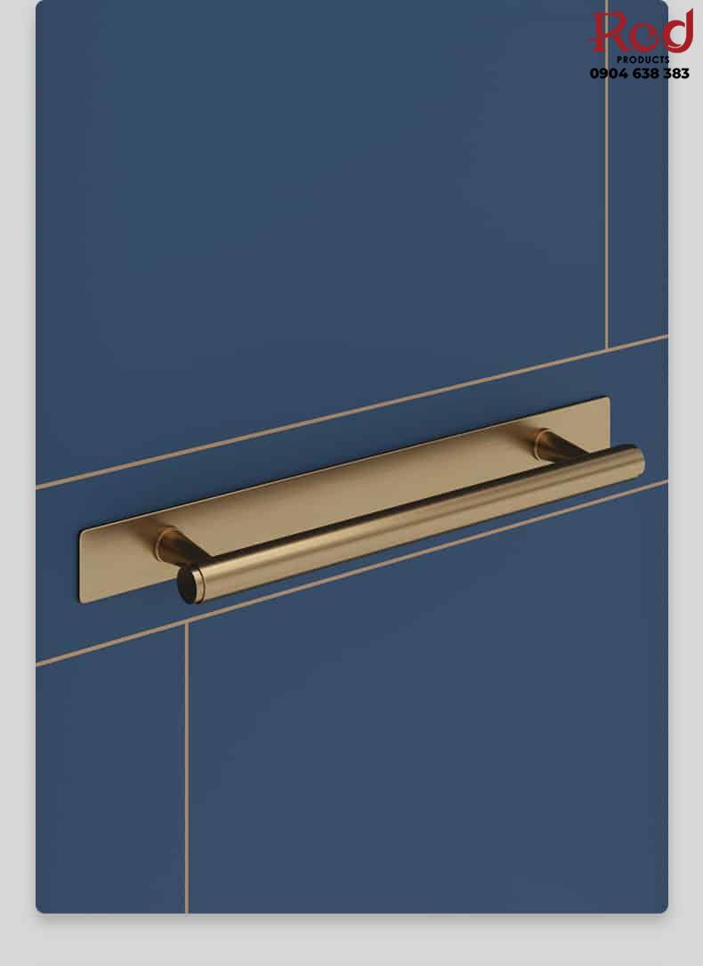 tay-nam-cua-go-bang-inox-kieu-bac-au-dor8982-5