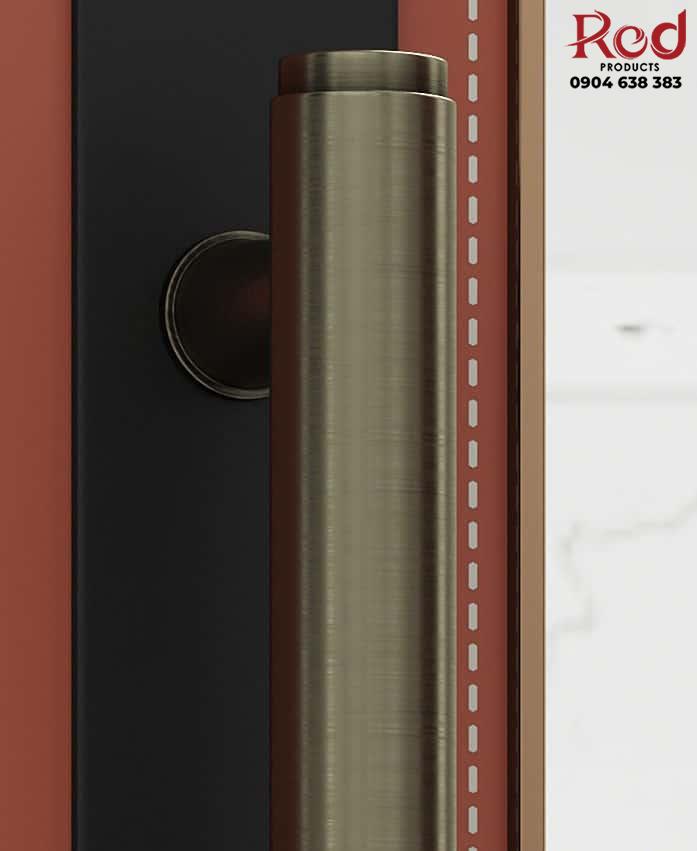 tay-nam-cua-go-bang-inox-kieu-bac-au-dor8982-6