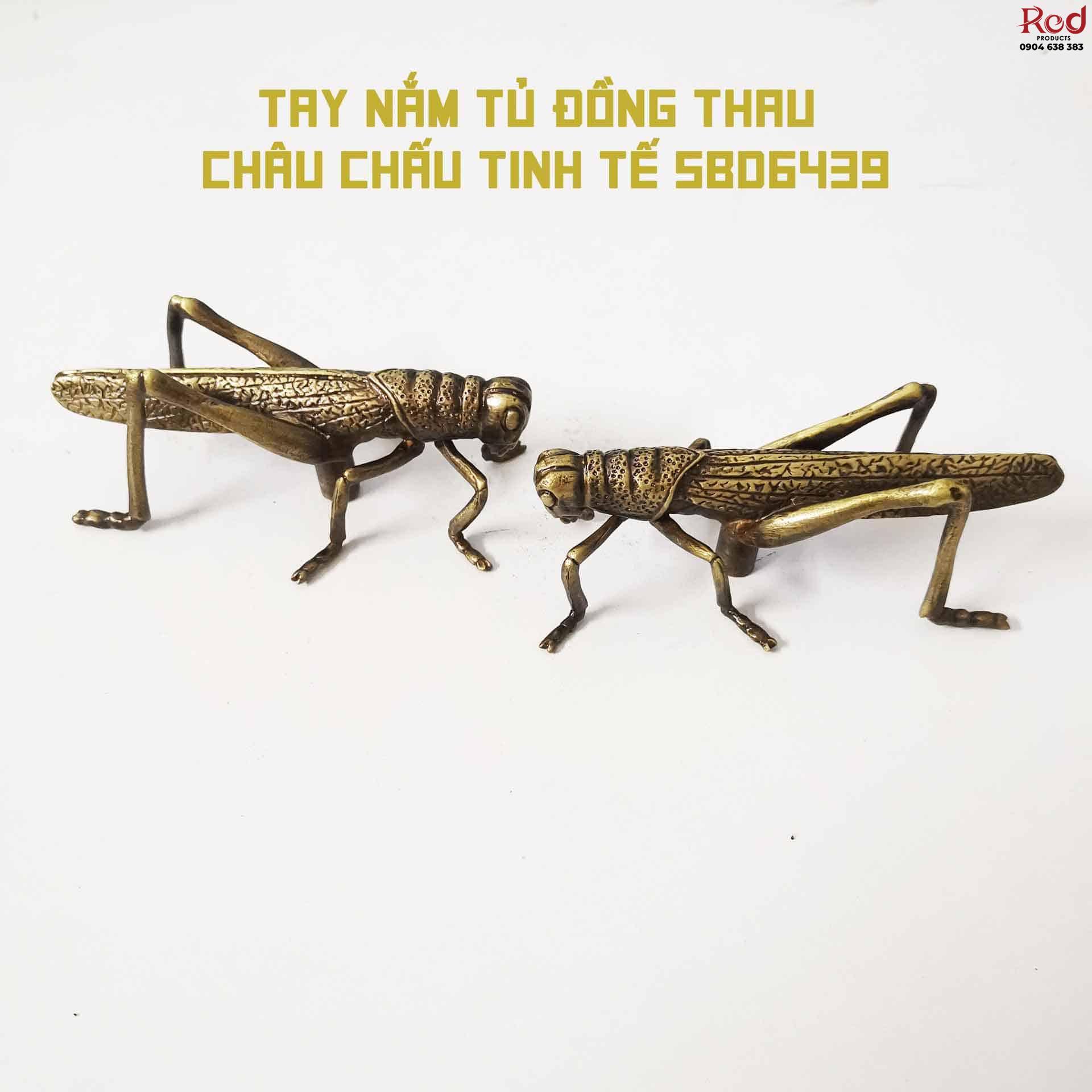 Tay nắm tủ đồng thau châu chấu tinh tế SBD6439 7