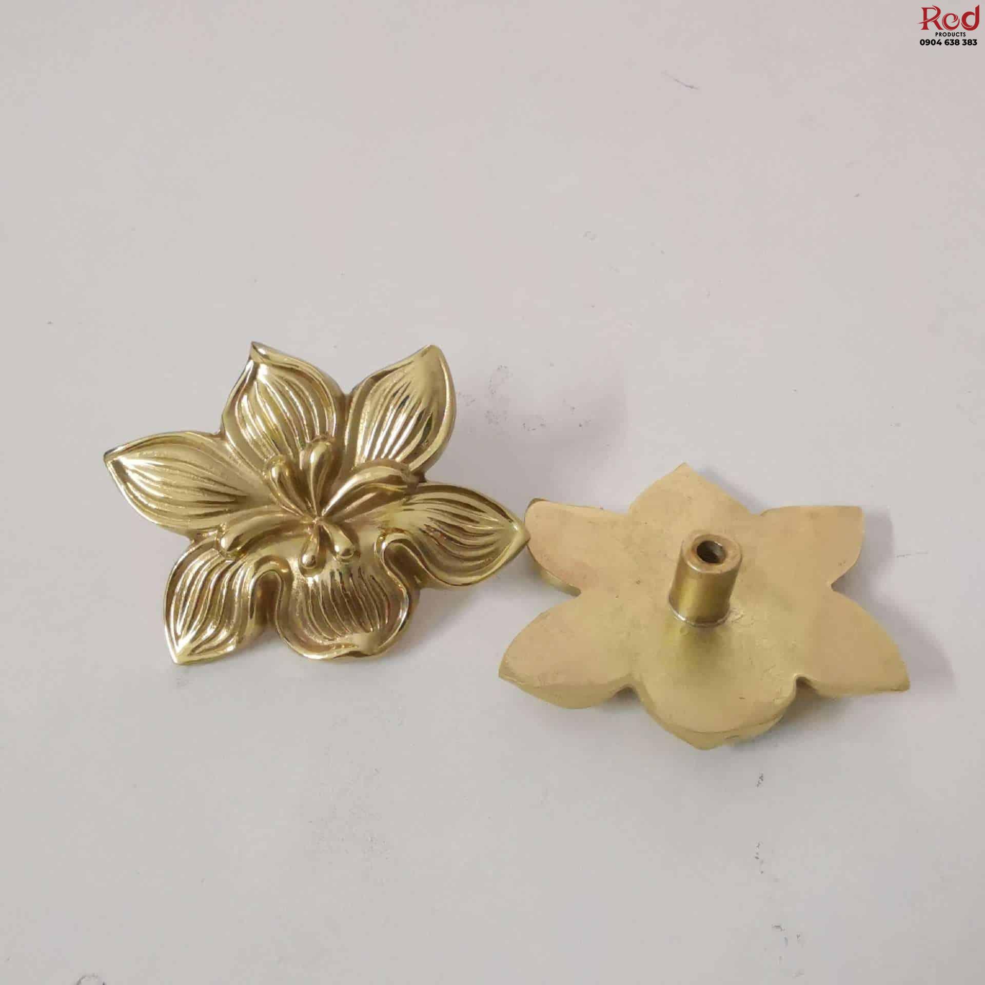 tay-nam-tu-dong-thau-do-quyen-diu-dang-sbd5176-4