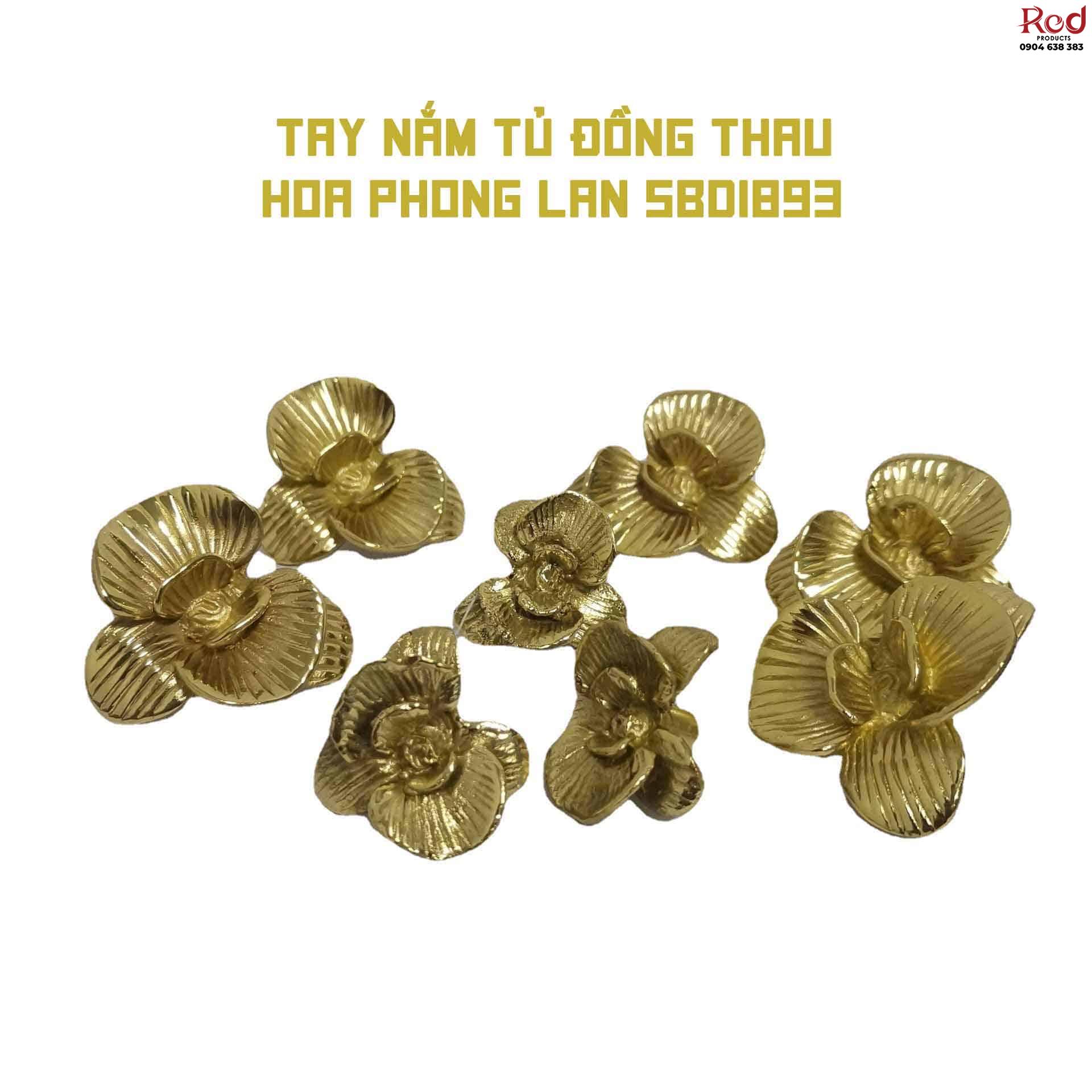 Tay nắm tủ đồng thau hoa phong lan SBD1893 8