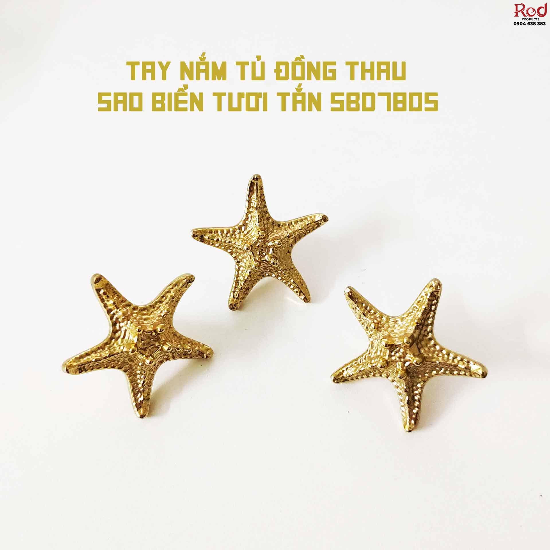 Tay nắm tủ đồng thau sao biển tươi tắn SBD7805 8