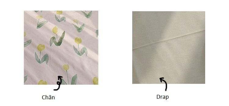 Bộ chăn ga gối họa tiết hoa Tulip vàng MM7171 2 Bộ chăn ga gối họa tiết hoa Tulip vàng MM7171 6