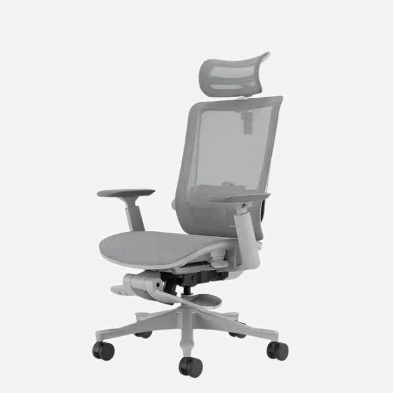 Ghế lưới văn phòng Ergonomic kết hợp footrest SM6BHL 8