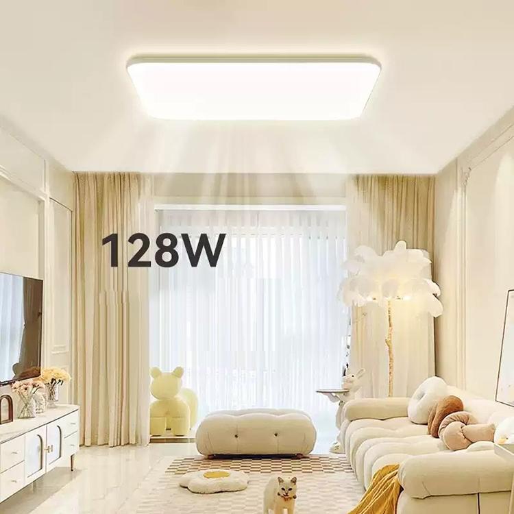 Đèn Led ốp trần hiện đại cao cấp NVC300 10