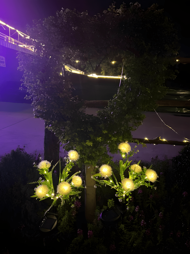 Đèn led mô hình bồ công anh ấn tượng DZ1479